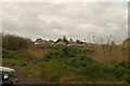 View of the rear of houses on Kensington Drive from the Redbridge Fishing Lakes