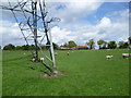 Sheep and lambs under a pylon