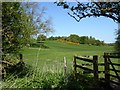 Beverley Westwood golf course