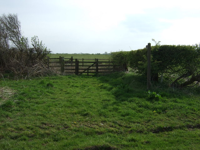 Bridleway towards Penny Hill