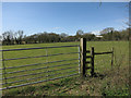 Field by Cornells Lane