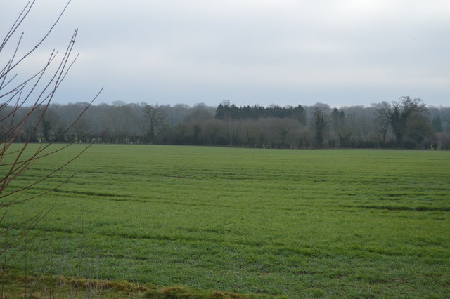 Field, Lower Farm