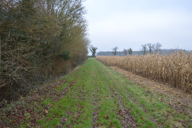 Headland strip path