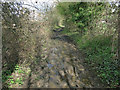 Bridleway from Mole Hall