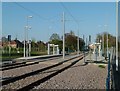 Eskdale Drive tram stop