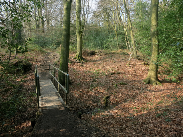 Footbridge in the woods © Des Blenkinsopp cc-by-sa/2.0 :: Geograph ...