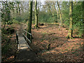 Footbridge in the woods