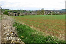 SP1438 : Field by Conduit Hill Chipping Campden beyond by Philip Jeffrey