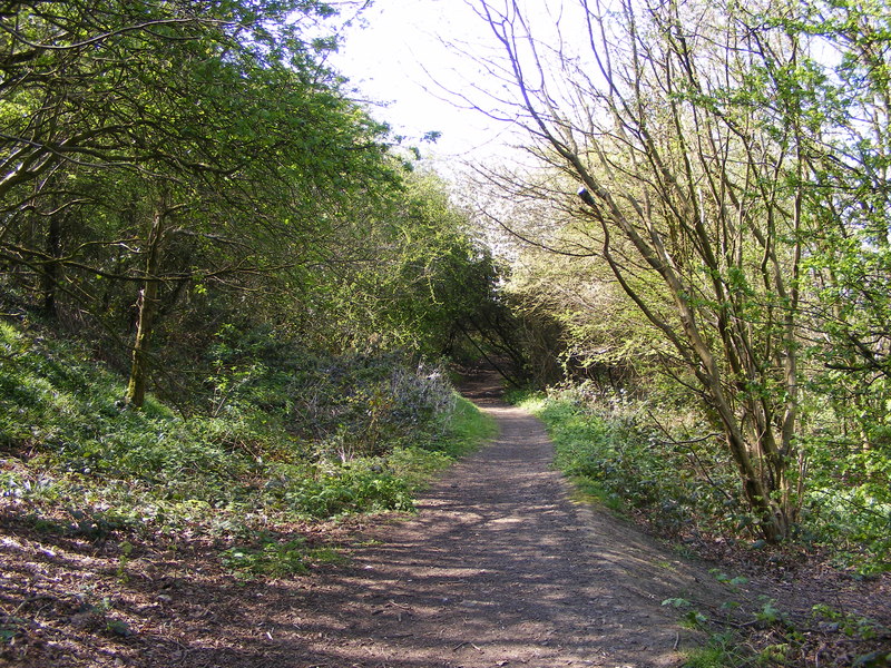 Barrow Hill Path © Gordon Griffiths cc-by-sa/2.0 :: Geograph Britain ...