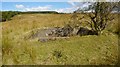 Remains of Woodend Battery