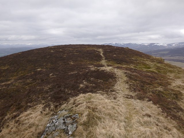 Summit of Meall an Daimh