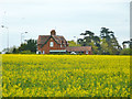 Crown Cottages, Albert Road