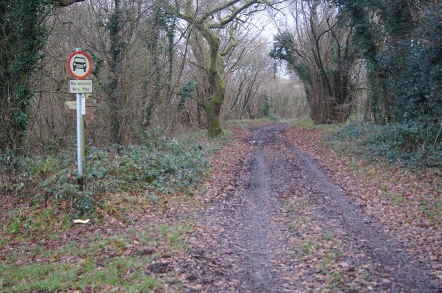 Track leading to Twinley Lane