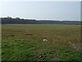 Crop field towards Gubeon Plantations