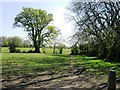 Public footpath