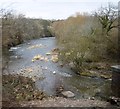 Mochdre Brook meets the River Severn