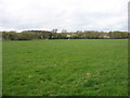 Farmland south of Otterton