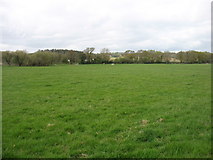SY0784 : Farmland south of Otterton by David Purchase