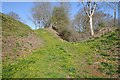 Earthworks, Huntington Castle