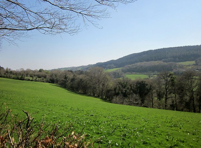 Lynher valley near North Hill