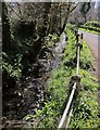 Laneside stream, St Clether