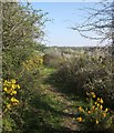 Path near St Clether