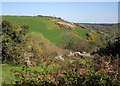 Hillside near St Clether