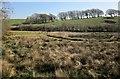 Inny valley near Tregulland