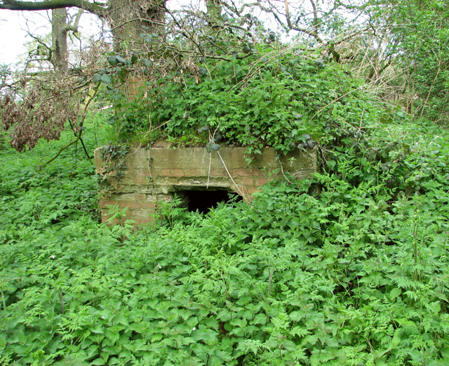 WW1 air raid shelter overgrown with... © Evelyn Simak :: Geograph ...