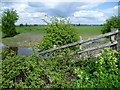 Marshland scene near Boatrick House