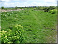 Looking across Cliffe Marshes to Cliffe Church