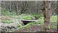 Footbridge, Drinkwater Park