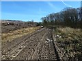 NS3976 : Cleared area at Lomondgate by Lairich Rig