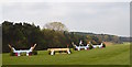 SJ5667 : Kelsall Hill Horse Trials: cross-country fence 5 by Jonathan Hutchins