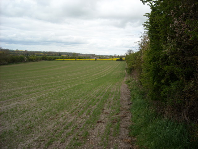 Arable field, High Street Brow, Ogbourne St George