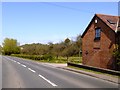 Orchard and footpath in Hartpury