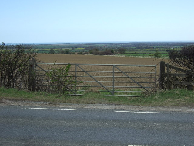 Longhorsley Moor Harelaw Common, Northumberland - area information, map ...