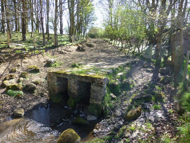 Outfall of a culvert under the old railway embankment