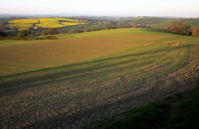Arable field near Higher Wampford