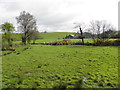 Bodoney Townland