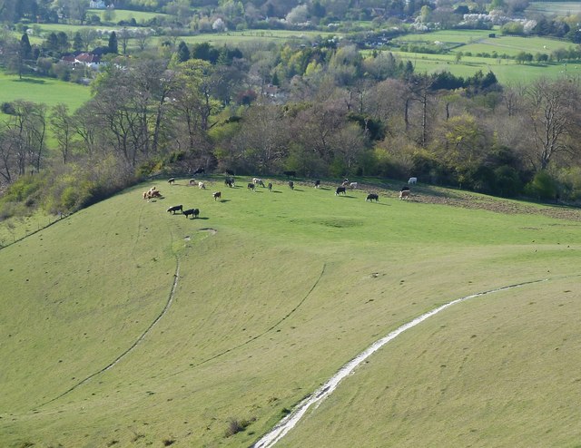 Cymbeline's Castle from top of Beacon Hill