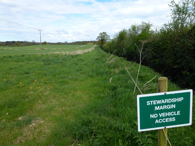 Field with stewardship margin near... © Richard Humphrey :: Geograph ...