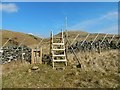 NS4477 : New deer fence and stile by Lairich Rig