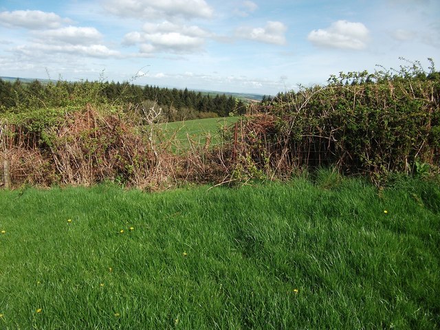 Footpath obstruction near Llangynin