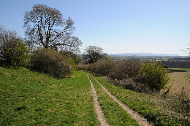 Track and bridleway on Hergest Ridge