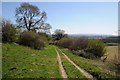 Track and bridleway on Hergest Ridge