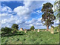 Ruin, St Johns Church, High Worsall