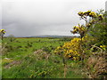 Cavanalee Townland