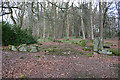 Binghill Recumbent Stone Circle (3)