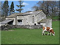 Barn at Kirk Syke